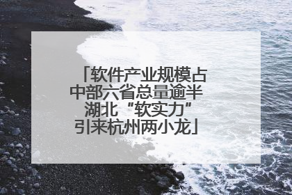 软件产业规模占中部六省总量逾半 湖北“软实力”引来杭州两小龙