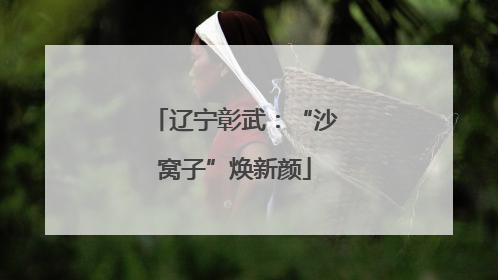 辽宁彰武：“沙窝子”焕新颜