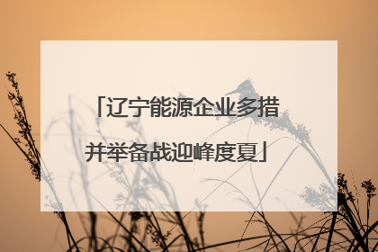 辽宁能源企业多措并举备战迎峰度夏