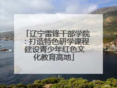 辽宁雷锋干部学院：打造特色研学课程 建设青少年红色文化教育高地