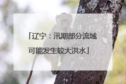 辽宁：汛期部分流域可能发生较大洪水