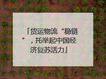 货运物流“稳链”，托举起中国经济复苏活力