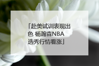 赴美试训表现出色 杨瀚森NBA选秀行情看涨
