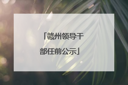 赣州领导干部任前公示