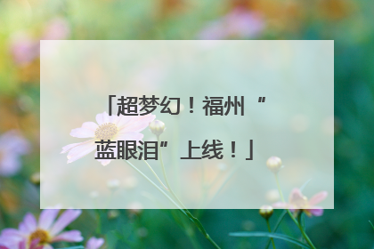 超梦幻！福州“蓝眼泪”上线！