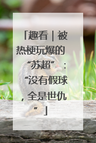趣看｜被热梗玩爆的“苏超”：“没有假球，全是世仇”