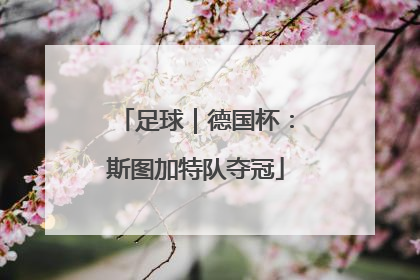足球｜德国杯：斯图加特队夺冠