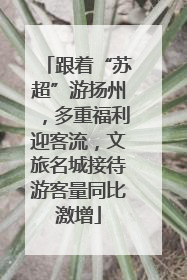 跟着“苏超”游扬州，多重福利迎客流，文旅名城接待游客量同比激增