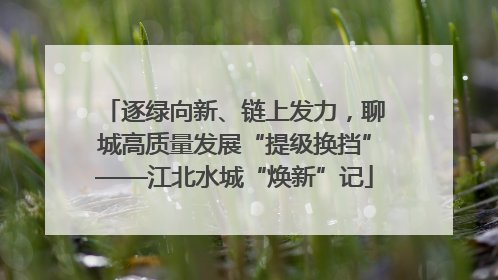 逐绿向新、链上发力，聊城高质量发展“提级换挡”——江北水城“焕新”记