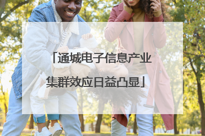 通城电子信息产业集群效应日益凸显