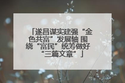 遂昌谋实建强“金色共富”发展轴 围绕“富民”统筹做好“三篇文章”