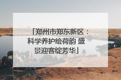 郑州市郑东新区：科学养护绘荷韵 盛景迎客绽芳华