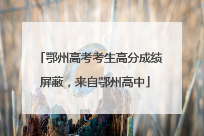 鄂州高考考生高分成绩屏蔽，来自鄂州高中