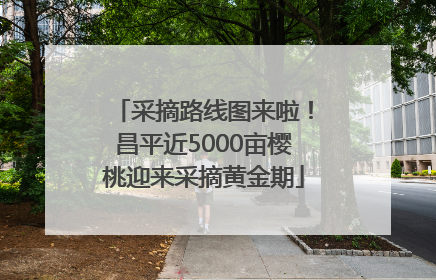 采摘路线图来啦！昌平近5000亩樱桃迎来采摘黄金期