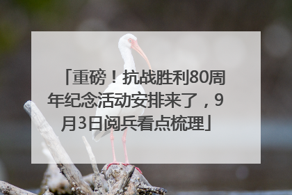 重磅！抗战胜利80周年纪念活动安排来了，9月3日阅兵看点梳理