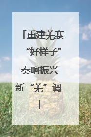 重建羌寨“好样子” 奏响振兴新“羌”调