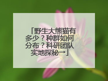 野生大熊猫有多少？种群如何分布？科研团队实地探秘→