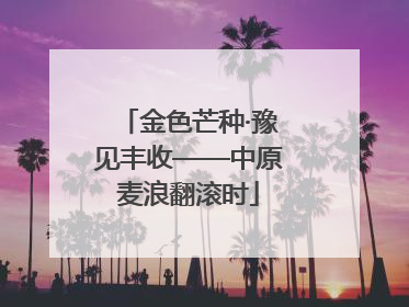 金色芒种·豫见丰收——中原麦浪翻滚时