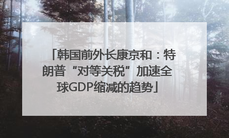 韩国前外长康京和：特朗普“对等关税”加速全球GDP缩减的趋势