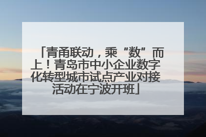 青甬联动，乘“数”而上！青岛市中小企业数字化转型城市试点产业对接活动在宁波开班
