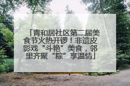青和居社区第二届美食节火热开锣！非遗皮影戏“斗艳”美食，邻里齐聚“粽”享温情