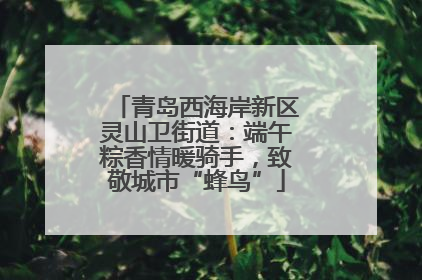 青岛西海岸新区灵山卫街道：端午粽香情暖骑手，致敬城市“蜂鸟”