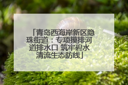 青岛西海岸新区隐珠街道：专项摸排河道排水口 筑牢碧水清流生态防线