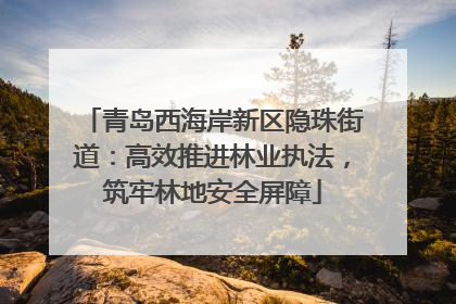 青岛西海岸新区隐珠街道：高效推进林业执法，筑牢林地安全屏障