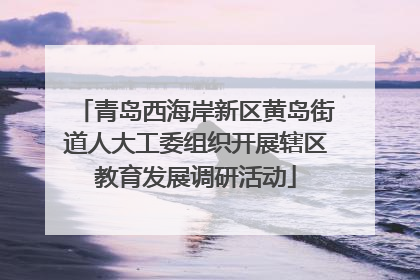 青岛西海岸新区黄岛街道人大工委组织开展辖区教育发展调研活动