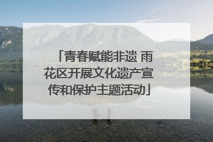 青春赋能非遗 雨花区开展文化遗产宣传和保护主题活动