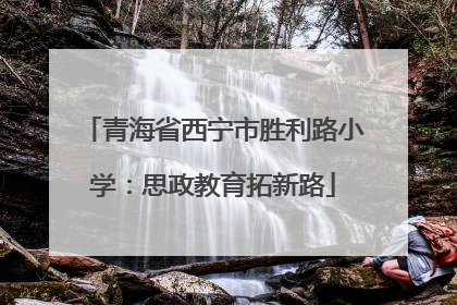 青海省西宁市胜利路小学：思政教育拓新路
