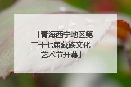 青海西宁地区第三十七届藏族文化艺术节开幕