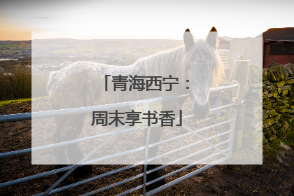 青海西宁：周末享书香