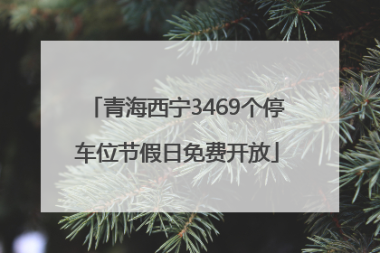青海西宁3469个停车位节假日免费开放