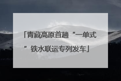 青藏高原首趟“一单式”铁水联运专列发车