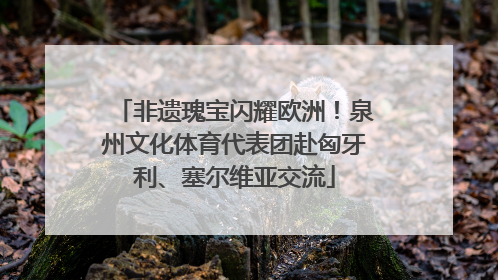 非遗瑰宝闪耀欧洲！泉州文化体育代表团赴匈牙利、塞尔维亚交流