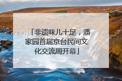 非遗味儿十足，潘家园首届京台民间文化交流周开幕