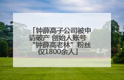 钟薛高子公司被申请破产 创始人账号“钟薛高老林”粉丝仅1800余人