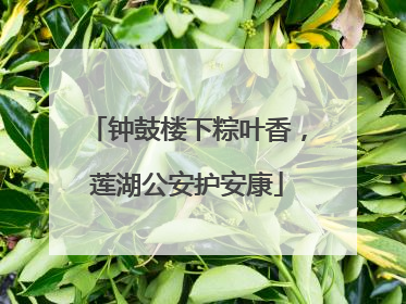 钟鼓楼下粽叶香，莲湖公安护安康