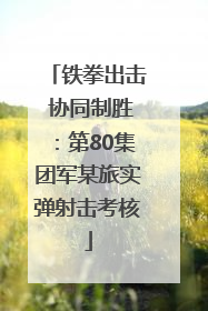 铁拳出击 协同制胜：第80集团军某旅实弹射击考核