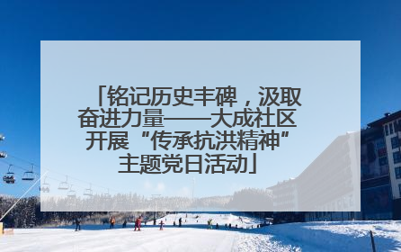 铭记历史丰碑，汲取奋进力量——大成社区开展“传承抗洪精神”主题党日活动