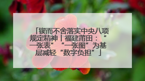 锲而不舍落实中央八项规定精神丨福建莆田：“一张表”“一张图”为基层减轻“数字负担”