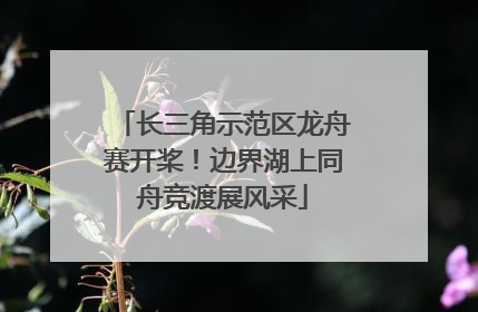 长三角示范区龙舟赛开桨！边界湖上同舟竞渡展风采