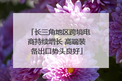 长三角地区跨境电商持续增长 高端装备出口势头良好