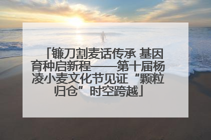 镰刀割麦话传承 基因育种启新程——第十届杨凌小麦文化节见证“颗粒归仓”时空跨越