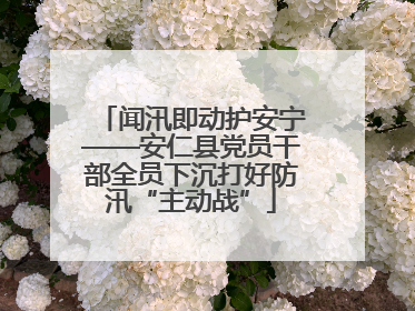 闻汛即动护安宁——安仁县党员干部全员下沉打好防汛“主动战”