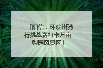阳信：环滨州骑行挑战赛打卡万亩梨园风景区