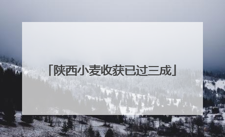 陕西小麦收获已过三成