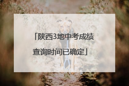 陕西3地中考成绩查询时间已确定