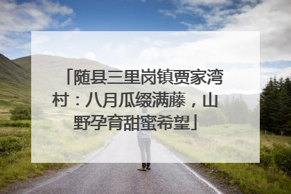 随县三里岗镇贾家湾村：八月瓜缀满藤，山野孕育甜蜜希望